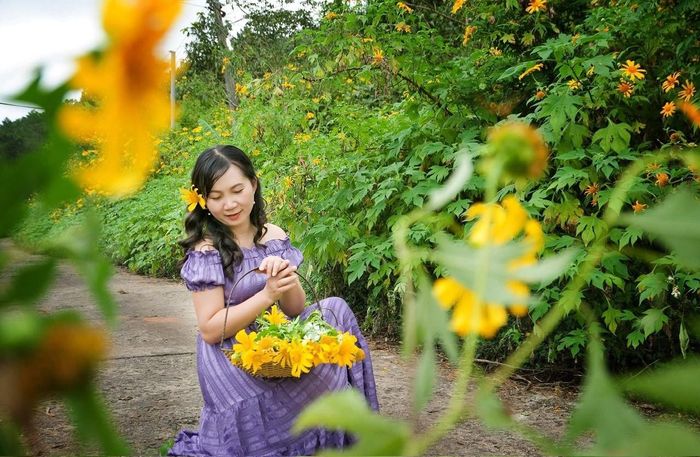 Thiếu nữ phố núi với dã quỳ vàng