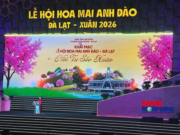 Khai mạc dự kiến 19/12, bế mạc kết hợp chương trình nghệ thuật chào năm mới 2027 vào 31/12 (Ảnh minh họa - C.H)