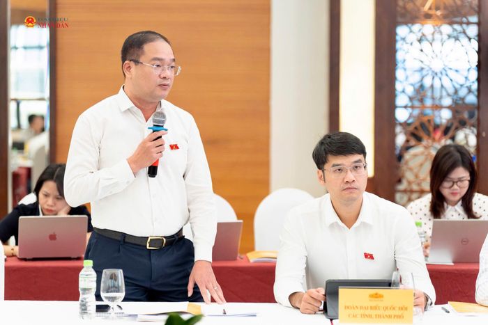 ĐBQH Nguyễn Ngọc Việt (TP. Hà Nội) phát biểu tại phiên họp