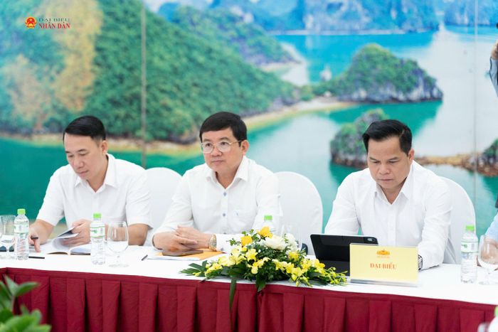 Các đại biểu dự phiên họp
