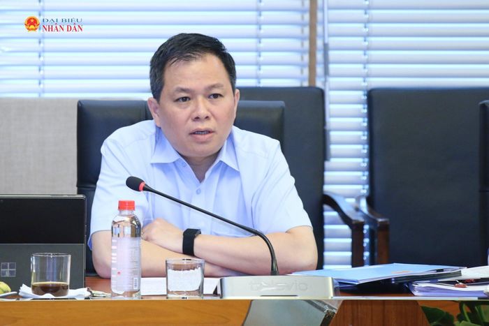 Phó Chủ nhiệm Văn phòng Quốc hội, Trợ lý Chủ tịch Quốc hội Nguyễn Tiến Khoa phát biểu tại cuộc họp. Ảnh: Đắc Trường