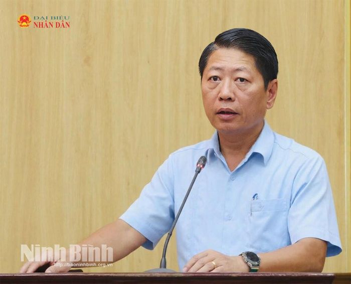Phó Chủ tịch Thường trực UBND tỉnh Ninh Bình Trần Song Tùng phát biểu
