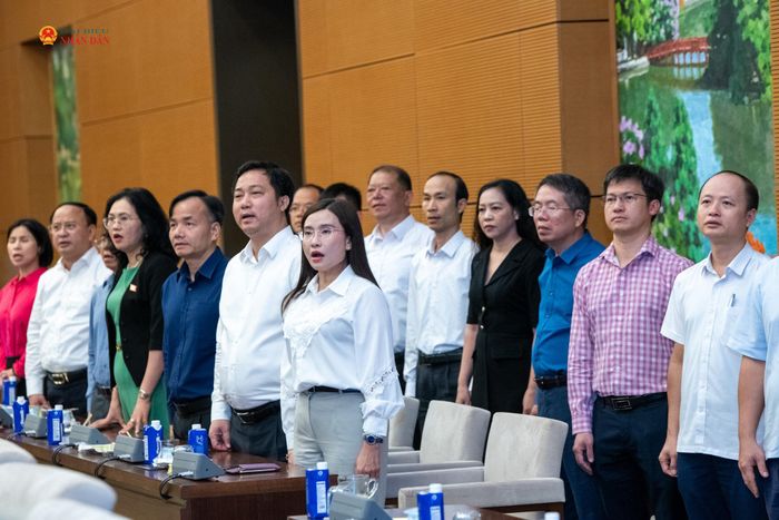 Các đại biểu thực hiện nghi lễ chào cờ