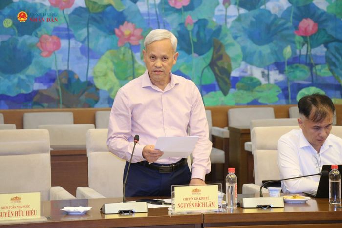 Nguyên Tổng cục trưởng Tổng cục Thống kê Nguyễn Bích Lâm phát biểu tại tọa đàm. Ảnh: Đắc Trường