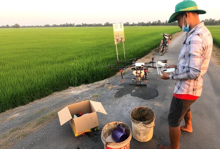 Thành viên HTX Cây Trôm điều khiển drone phun thuốc, góp phần chuẩn hóa quy trình sản xuất trên vùng lúa tập trung. 