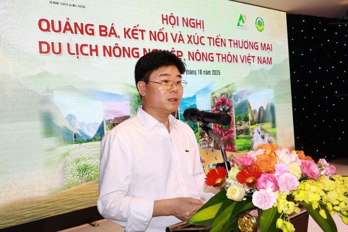 Ông Phương Đình Anh phát biểu tại hội nghị