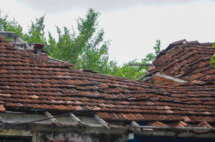 Dãy nhà tập thể của nhiều hộ dân nằm cạnh di tích Quốc Tử Giám mục nát, xuống cấp và có nguy cơ sập đổ.