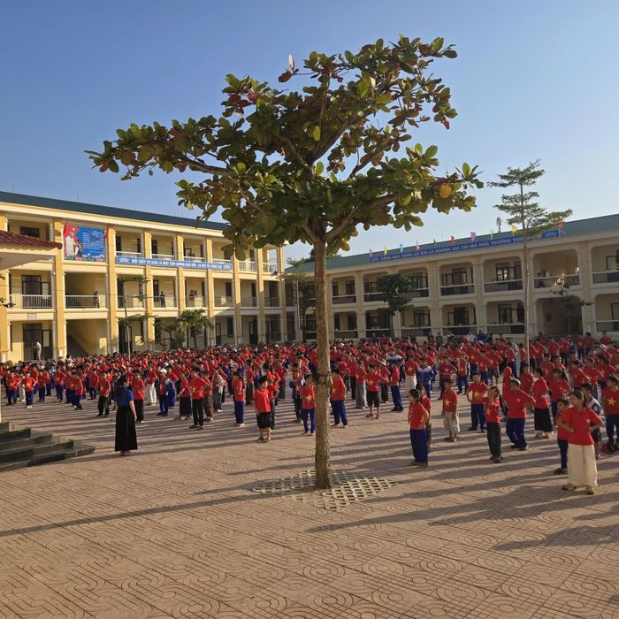 Điểm trường chính Trường Tiểu học Quỳnh Tam đã được đầu tư xây dựng khang trang, kiên cố, sở hữu đầy đủ trang thiết bị hiện đại nhằm phục vụ tốt nhất cho sự phát triển toàn diện của học sinh.