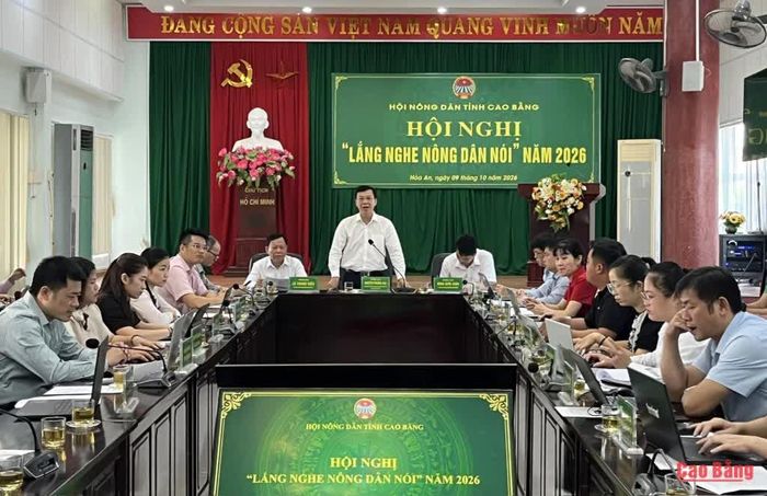 Chủ tịch Hội Nông dân tỉnh phát biểu tại hội nghị.