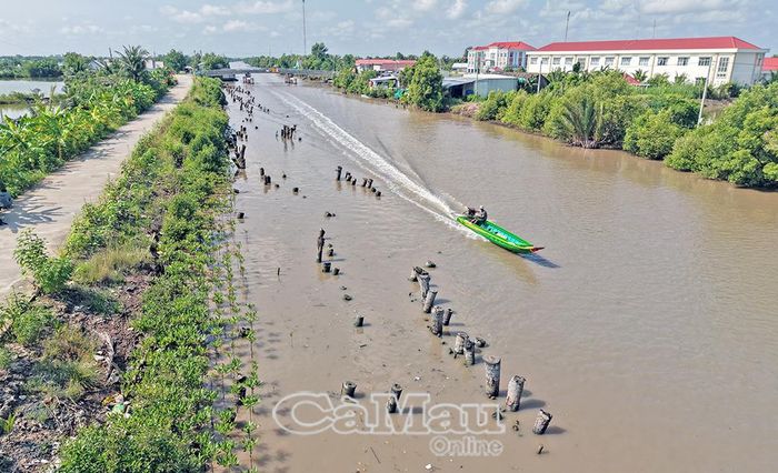 Dù đã có nhiều cố gắng trong ứng phó sạt lở, bảo vệ tuyến bờ, nhưng do nguồn lực tại chỗ còn hạn chế nên hiệu quả chưa mang tính toàn diện. (Ảnh chụp tại ấp Kinh Lớn, xã Cái Nước).