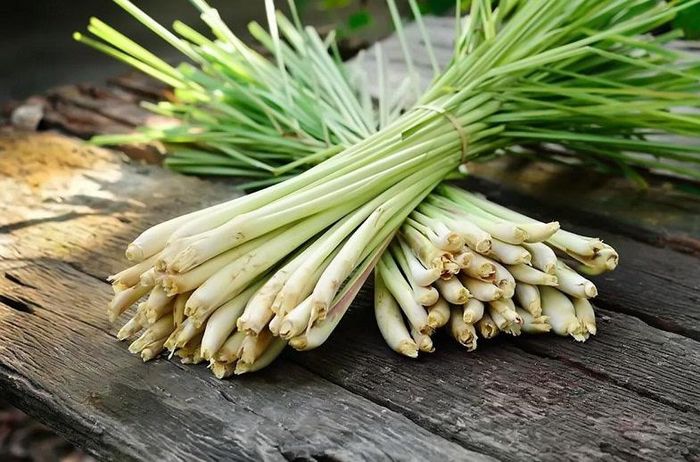 Sả thường được trồng để lấy gia vị, nhưng loại cây quen thuộc này còn chứa tinh dầu thơm