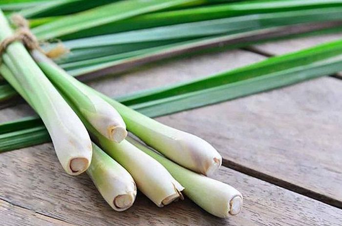 Trong sinh hoạt hằng ngày, nhiều gia đình sử dụng sả để tạo hương thơm cho không gian sống