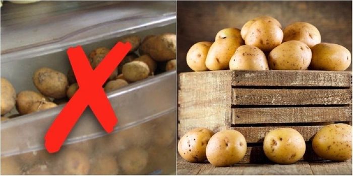 Tuyệt đối không nên bỏ khoai tây trong tủ lạnh.