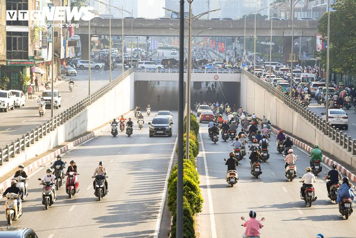 Cây được thiết kế để rủ xuống mặt trong thành hầm. Trong giai đoạn đầu, chiều dài phần cây rủ được khống chế khoảng 2-3m và cắt tỉa định kỳ, bảo đảm không ảnh hưởng đến hoạt động giao thông, tầm nhìn biển báo, hệ thống chiếu sáng và các thiết bị kỹ thuật.