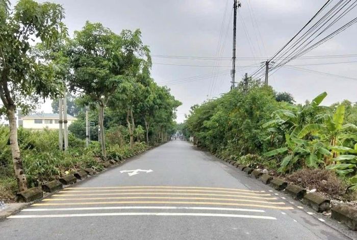 Cảnh quan môi trường ở Bát Tràng xanh, sạch, đẹp. Ảnh: Trần Bảo