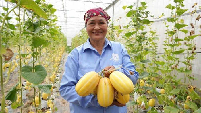 Việt Nam có nền sản xuất nông nghiệp lâu đời, điều kiện tự nhiên và thổ nhưỡng thuận lợi. Ảnh: PV