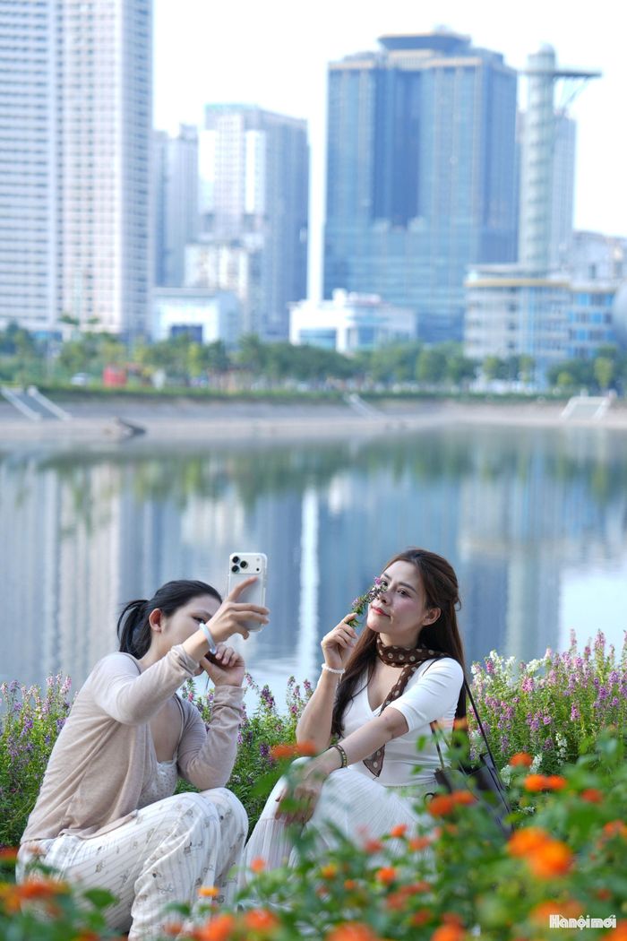 Không mang vẻ cổ kính như Hồ Gươm hay sự quen thuộc của những công viên trung tâm, Công viên An Hòa gây ấn tượng bởi sắc tím mộng mơ giữa mặt hồ rộng và những tòa nhà hiện đại.