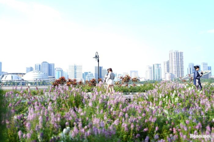Những ngày đầu thu, khi nắng không còn quá gay gắt, nhiều bạn trẻ tranh thủ đến công viên để lưu lại những khoảnh khắc đẹp.