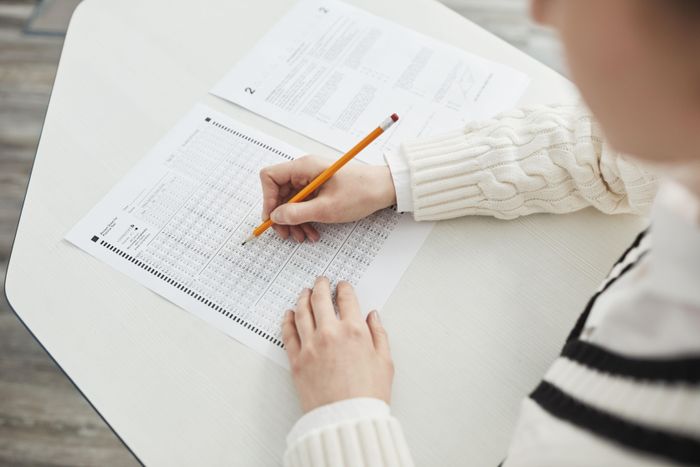  Giảng viên đại học có thể không quá nghiêm khắc với sinh viên do nhiều yếu tố. Ảnh minh hoạ: Pexels. 