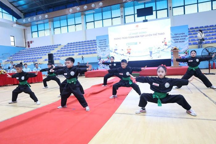 VĐV biểu diễn võ cổ truyền tại chương trình, góp phần lan tỏa tinh thần rèn luyện thể chất và gìn giữ giá trị võ thuật truyền thống
