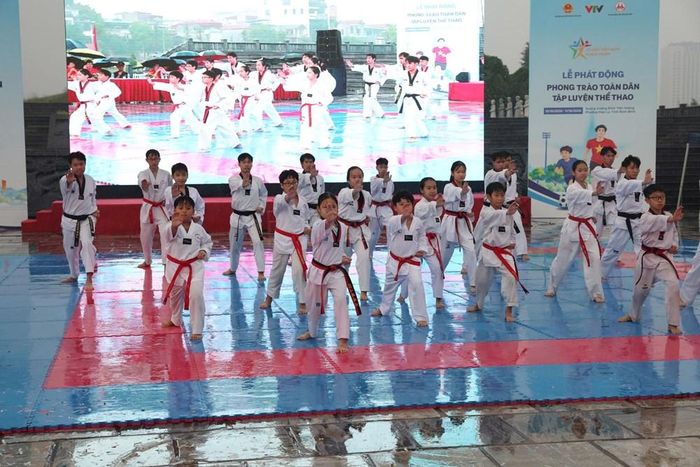 Các em học sinh biểu diễn võ thuật