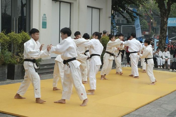 Hoạt động biểu diễn võ Judo