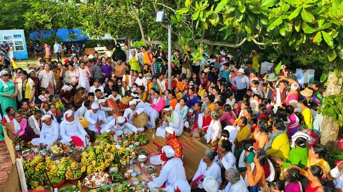Nhiều hoạt động hưởng ứng diễn ra trong thời gian diễn ra lễ hội