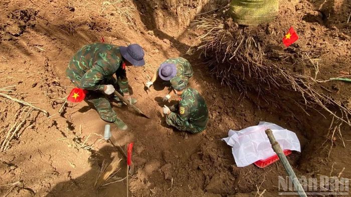 Cán bộ, chiến sĩ Đội K91 khai quật, tìm kiếm hài cốt liệt sĩ tại vườn dừa của hộ dân (Nghĩa trang Cả Cái cũ), ấp Cả Cái, xã Tân Thành, tỉnh Đồng Tháp. (Ảnh: CHÍ PHÚC)