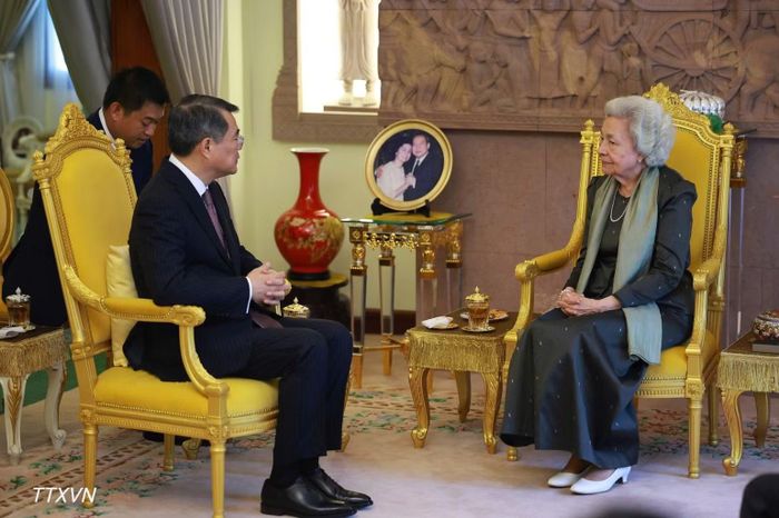 Thủ tướng Chính phủ Lê Minh Hưng đến chào Hoàng Thái hậu Norodom Monineath Sihanouk. (Ảnh: Dương Giang/TTXVN)