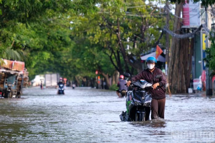 Theo ghi nhận của phóng viên, các tuyến đường trọng điểm như Nguyễn Bình, Lê Văn Lương (xã Hiệp Phước) và Phạm Hữu Lầu, phường Tân Mỹ, khu Thanh Đa, đường Bình Quới... đã biến thành "sông" với mực nước dâng cao, gây ách tắc giao thông cục bộ.