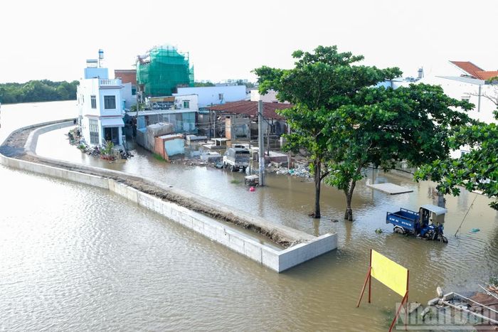 Cùng thời điểm, triều cường gây ngập ở khu vực dân cư quanh cầu Long Kiển, xã Nhà Bè.