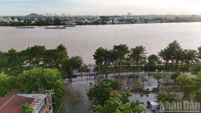 Nước sông Đồng Nai đang ở mức cao do triều cường kết hợp với Thủy điện Trị An xả lũ những ngày qua.