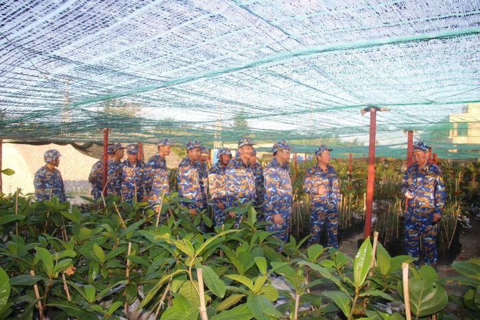 Vườn ươm cây trên đảo Nam Yết. (Ảnh: THÀNH VŨ)