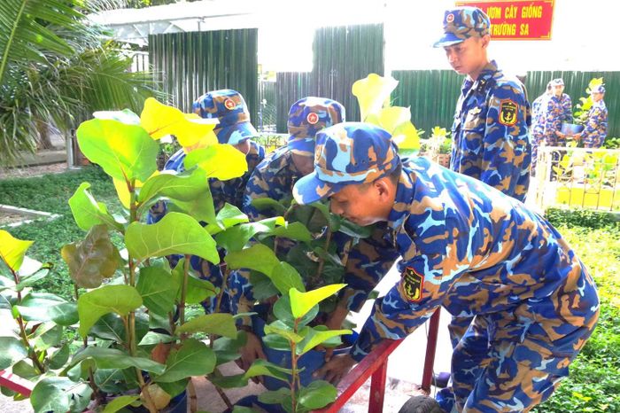 Cán bộ, chiến sĩ vận chuyển cây giống sang trồng các đảo thuộc quần đảo Trường Sa. (Ảnh: THÀNH VŨ)