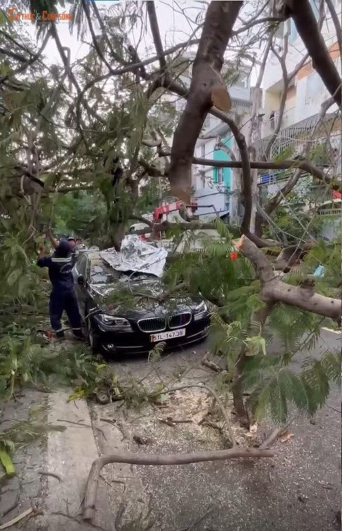 Tại hiện trường, hai cây phượng có tán rộng nằm chắn ngang đường, một trụ điện đè lên xe máy, hệ thống dây cáp nằm rơi vãi trên đường.
