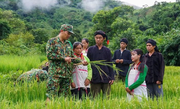 Ứng dụng khoa học, công nghệ giúp đồng bào nâng cao hiệu quả sản xuất, từng bước cải thiện thu nhập (Trong ảnh: Bộ đội Biên phòng Lai Châu hướng dẫn đồng bào dân tộc Mảng trồng lúa nước). Ảnh: Trần Văn.