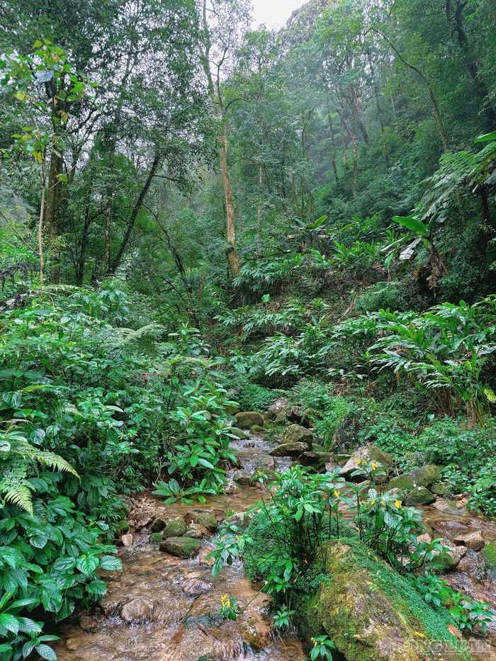Phần đường còn tương đối nguyên trạng dài khoảng 16-17 km, đang trở thành điểm đến của những người yêu trekking, muốn khám phá một Tây Bắc khác biệt với những cung leo núi quen thuộc.