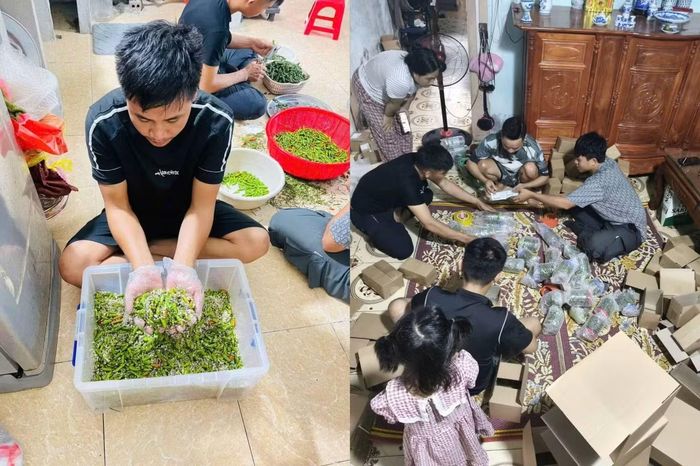 Anh Hùng phải huy động cả đội thợ nhôm kính về phụ giúp đóng gói ớt muối.