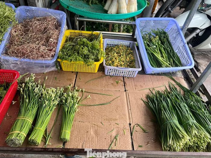 Khu vực rau gia vị trống trơn, nhiều loại đứt hàng do mưa ngập
