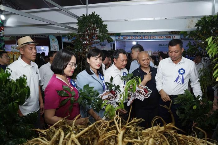 Các đại biểu tham quan hội chợ.