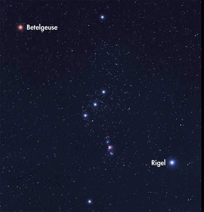 Betelgeuse và Rigel. Nguồn: iStock