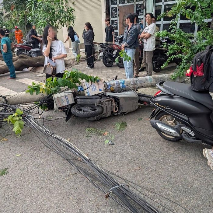 Hiện trường vụ việc. Ảnh: AD