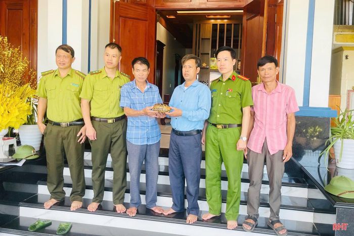 Ông Hồ Sĩ Tiến (xã Hồng Lộc) giao nộp cá thể rùa sa nhân quý hiếm cho lực lượng chức năng.