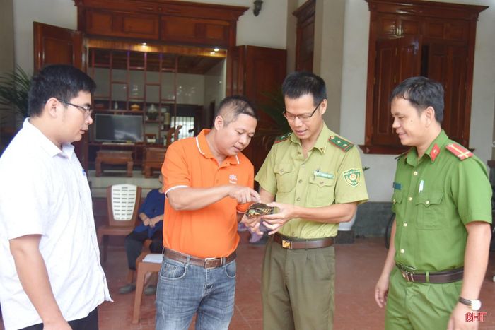 Các lực lượng chức năng kiểm tra sức khỏe, trọng lượng của cá thể rùa cổ sọc khi người dân giao nộp.
