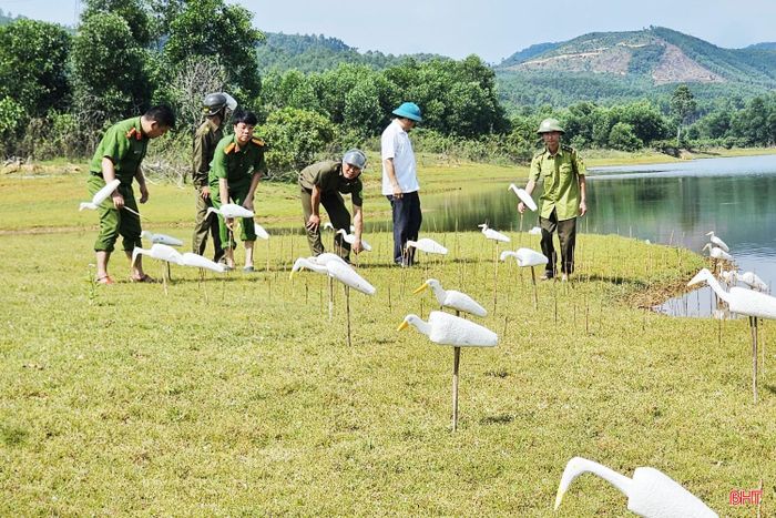Kiểm lâm Thạch Hà phối hợp với các lực lượng chức năng khác triệt xóa các điểm đơm bẫy chim trời ở xã Thạch Khê.