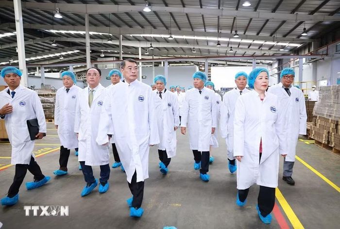 Thủ tướng Lê Minh Hưng thăm Công ty sữa Angkor Milk của Vinamilk tại Campuchia. (Ảnh: Dương Giang/TTXVN)