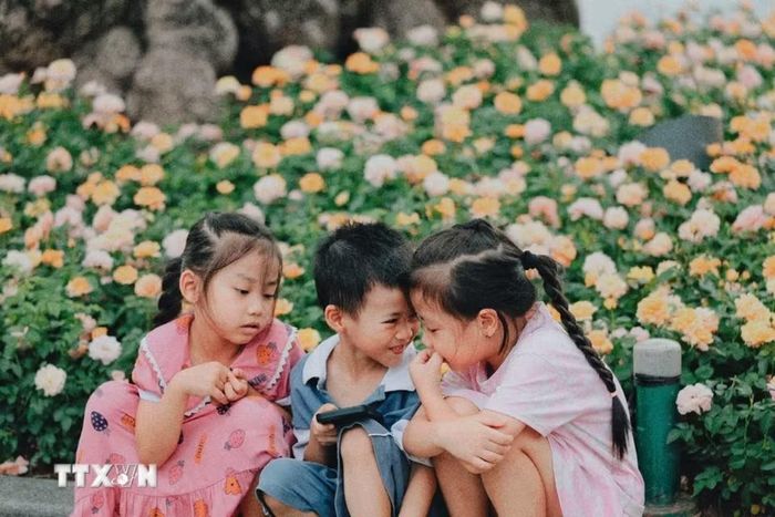 Các em nhỏ quây quần vui chơi bên thảm hoa ven hồ Hoàn Kiếm, tận hưởng không gian xanh giữa lòng Thủ đô. (Ảnh: Phạm Tuấn Anh/TTXVN)