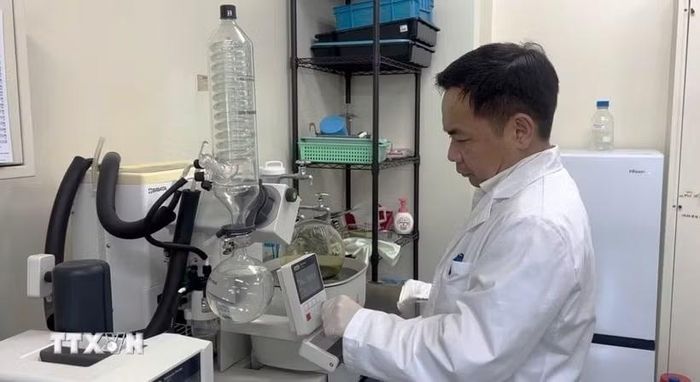 Giáo sư Trần Đăng Xuân làm việc trong phòng nghiên cứu. (Ảnh: Bùi Hà/TTXVN)