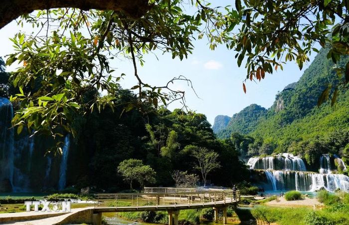 Cây cầu dẫn du khách đến cảm nhận vẻ đẹp bất tận của Thác Bản Giốc. (Ảnh: Chu Hiệu/TTXVN)