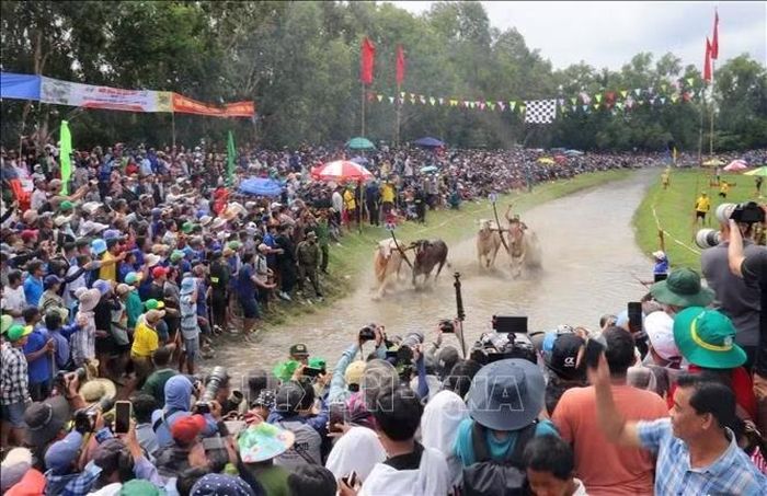 Hàng nghìn người dân và du khách đội nắng đến xem và cổ vũ cho các đôi bò thi đấu.